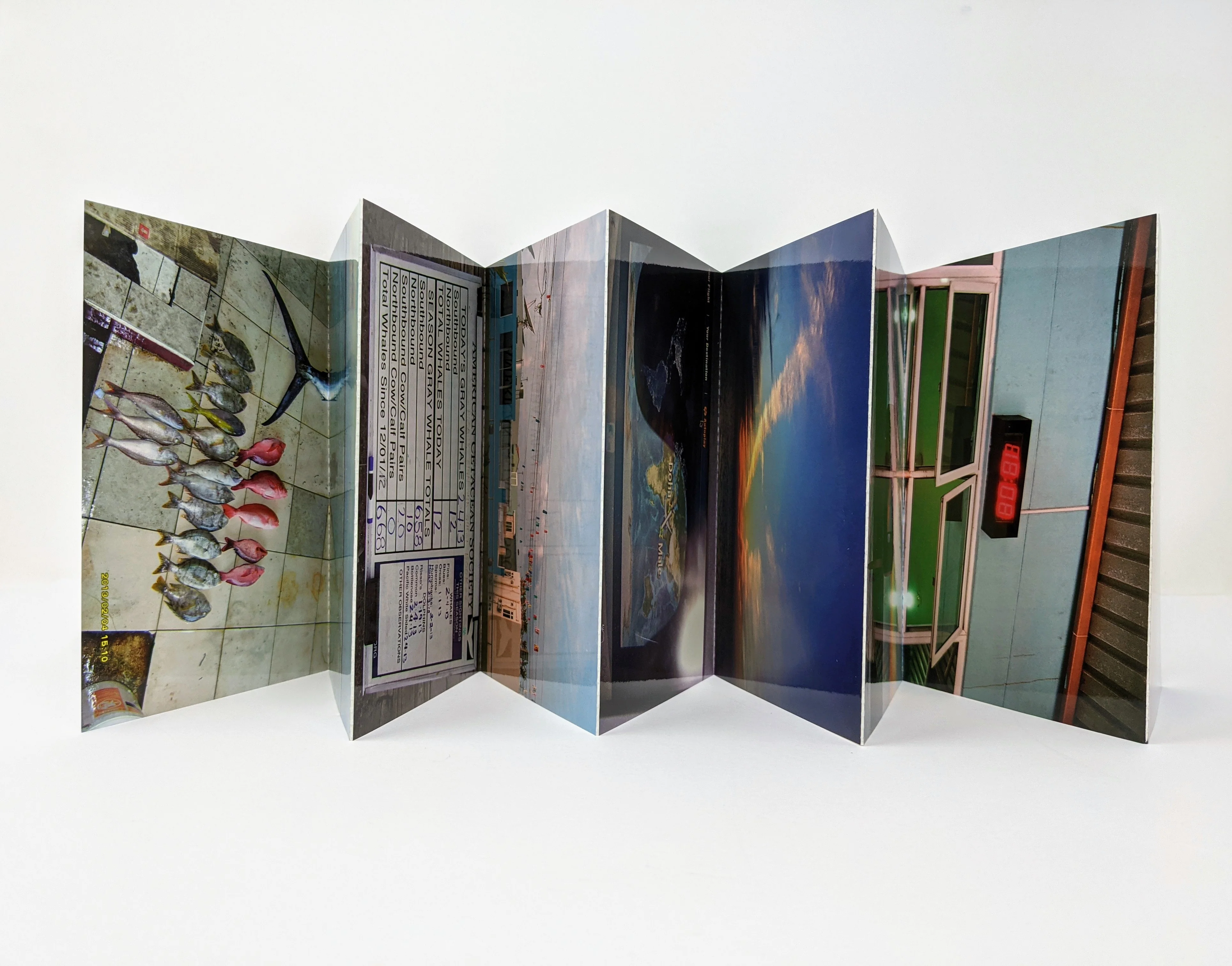 David Horvitz - The Distance of a Day - Image 3