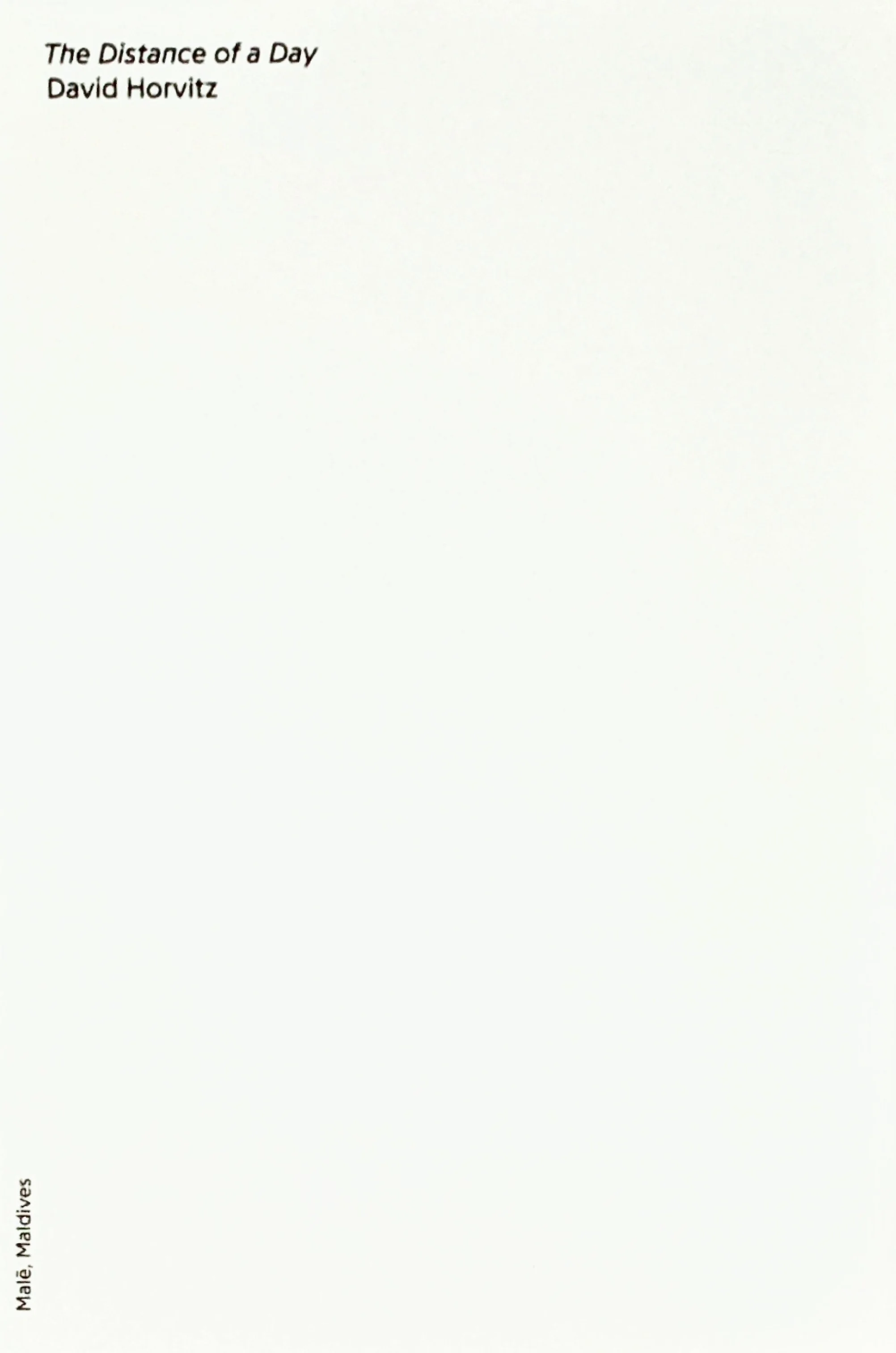 David Horvitz - The Distance of a Day - Image 6