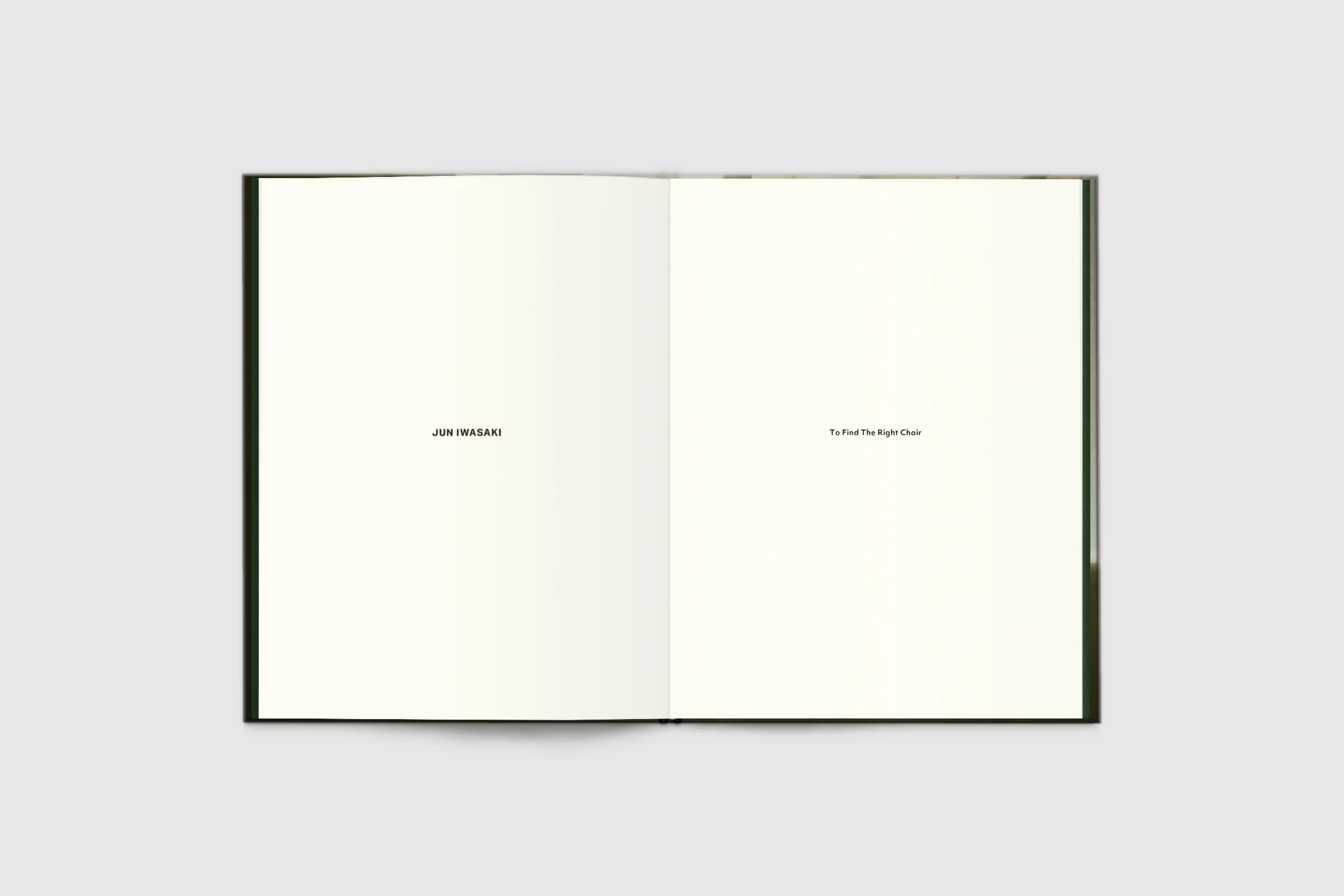 Jun Iwasaki - To Find The Right Chair - Image 3