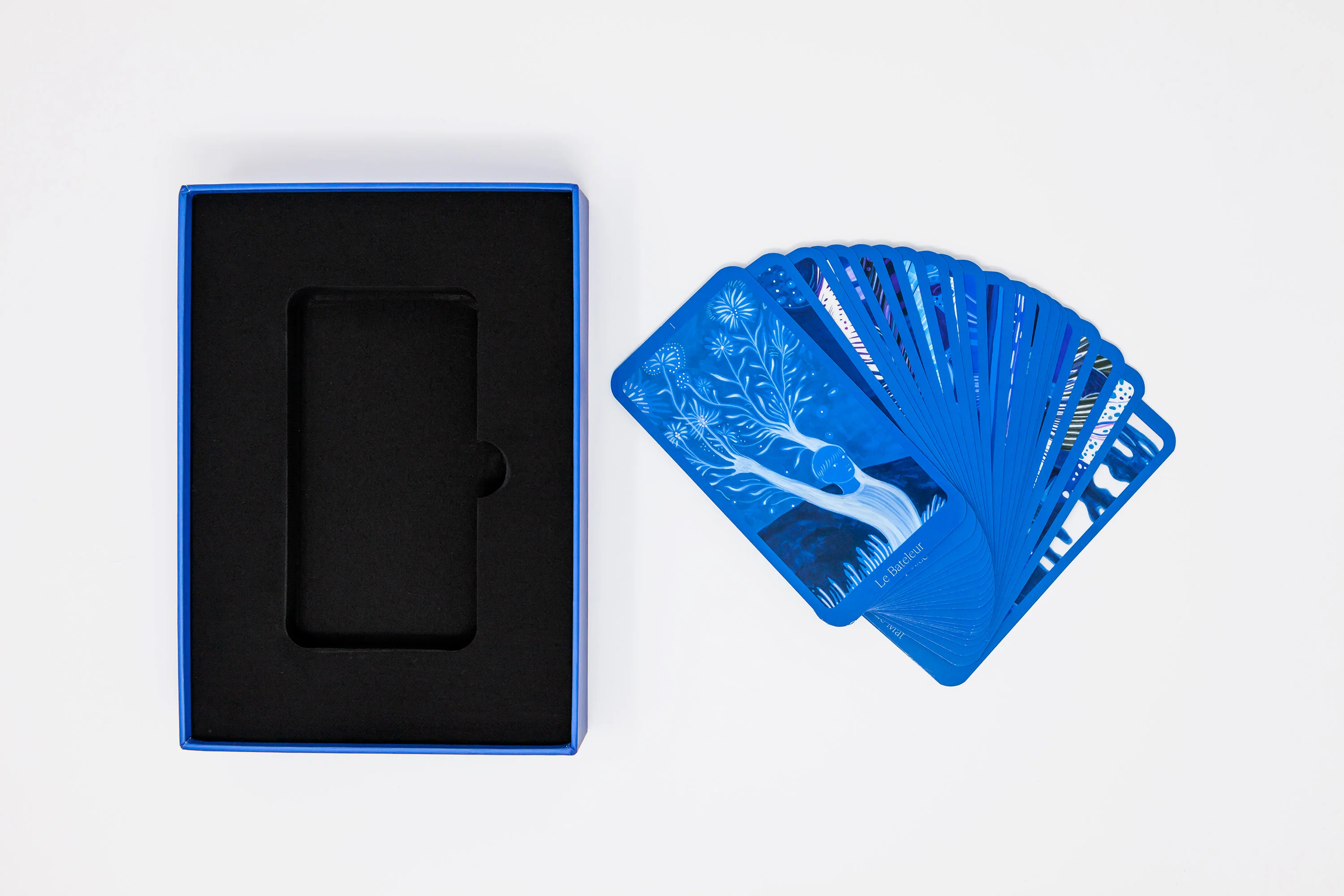 Marcella Barceló & Carol Teillard d'Eyry - Le Tarot Bleu - Image 10
