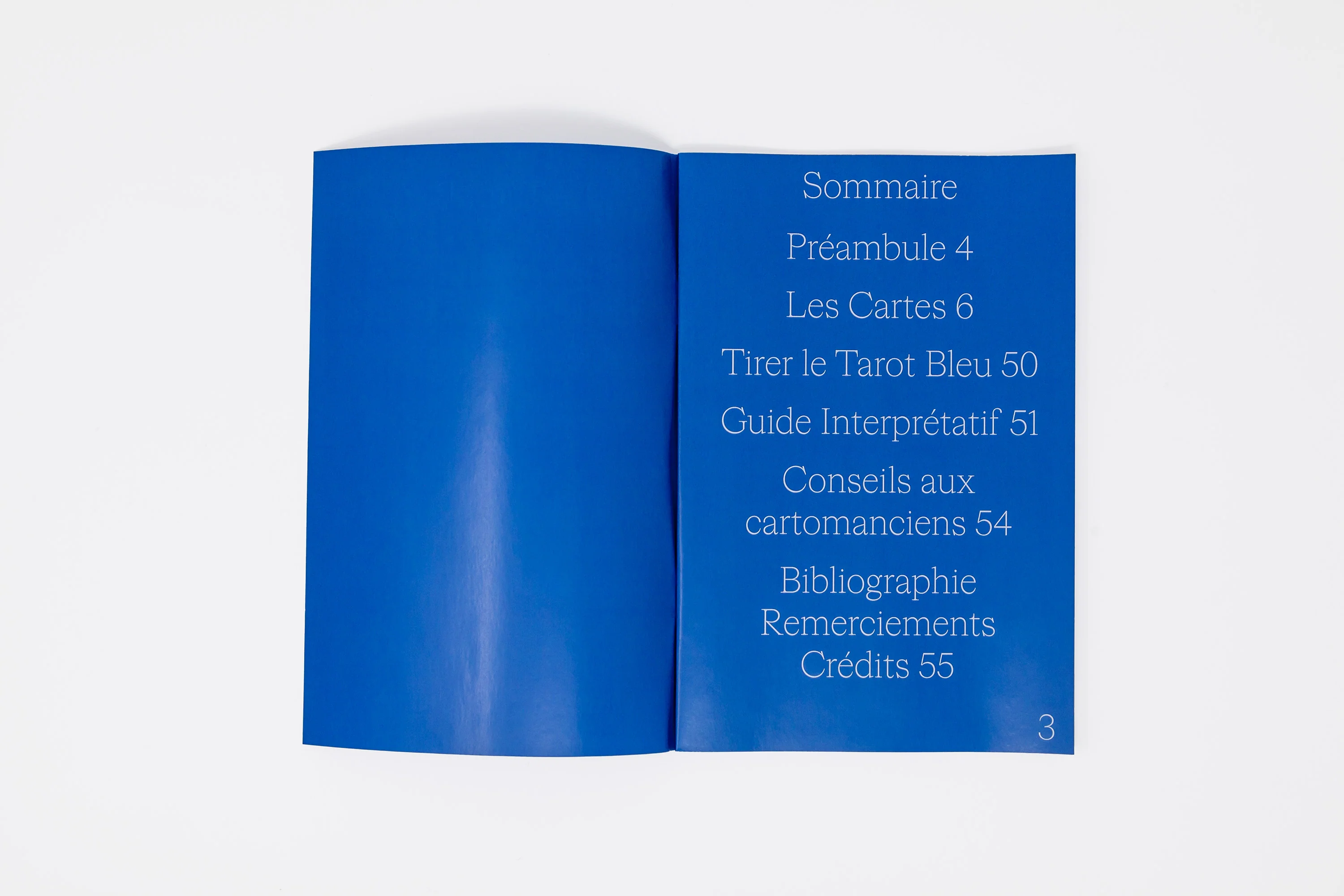 Marcella Barceló & Carol Teillard d'Eyry - Le Tarot Bleu - Image 5